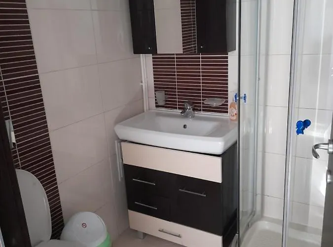 Apolonia Cata Si Miha